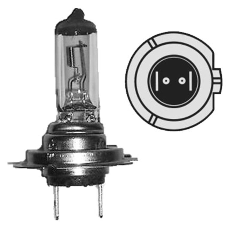 H7 12v55w Halogen bulbs Todo 01607 (H71255)