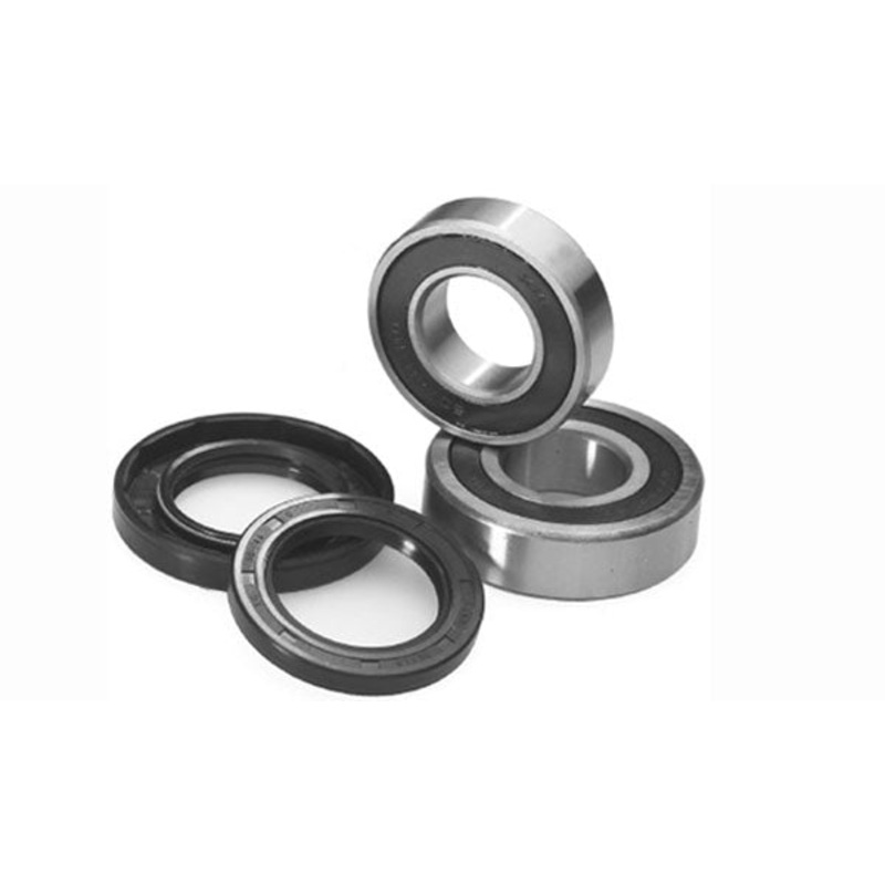Rear wheel bearing kit 25-1411 Artrax (AB251411)