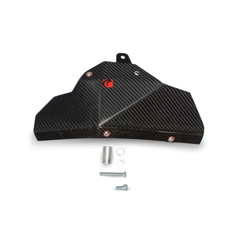 Honda CB1000R 08-17 Carbon Fibre Infill Panel (EHA101CFP)