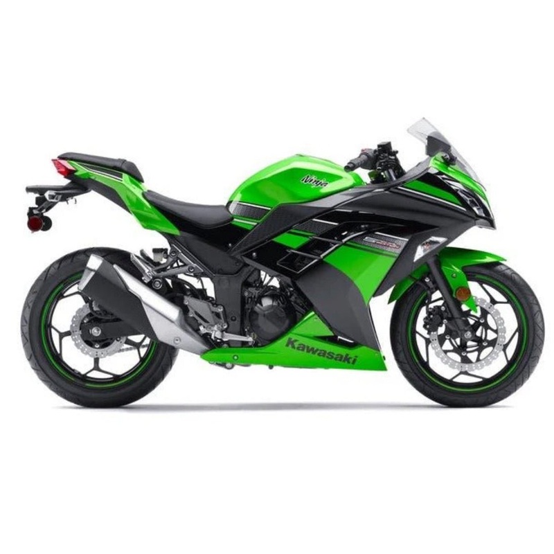 Fairings for Kawasaki Ninja 300 (2013-2024) Green, Matte Black, White Stripe No Tank No Seat Cowl No Bolt Kit