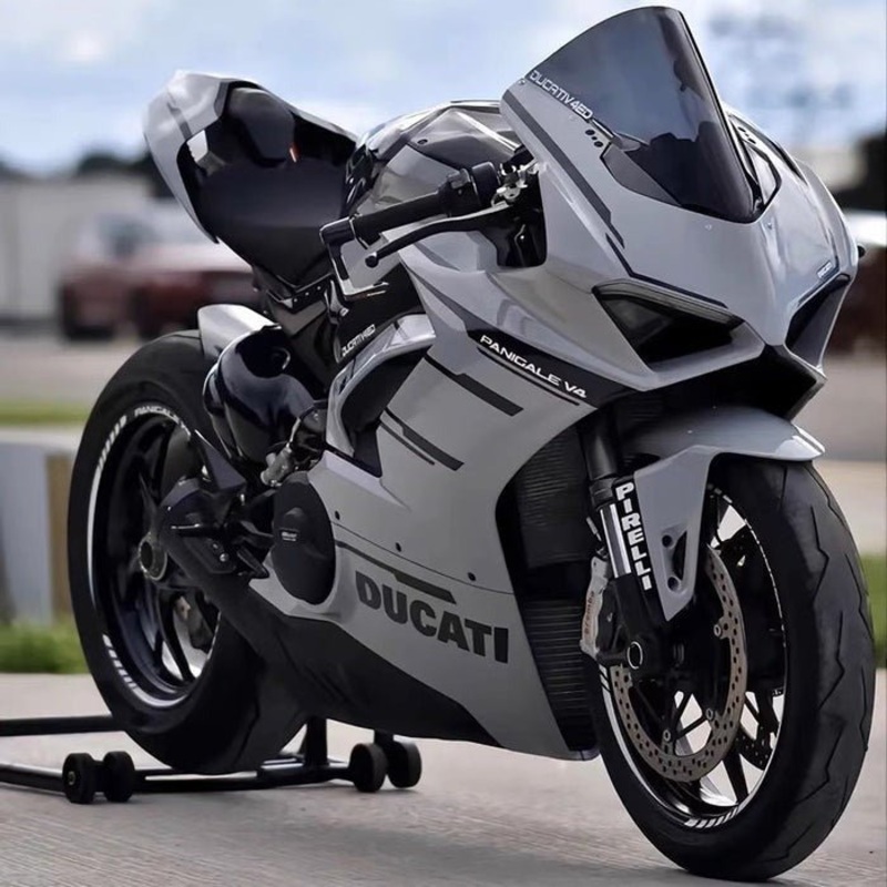 Ducati Panigale V4 Fairings (2018-2019) Gray, Black No Tank No Seat Cowl No Bolt Kit