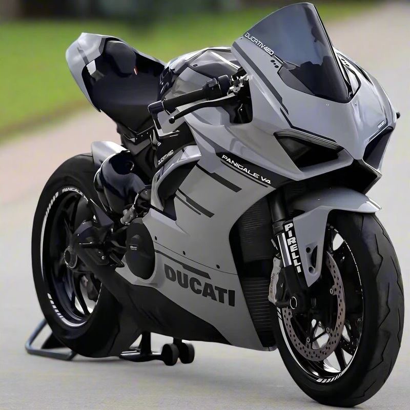 Ducati Panigale V4S Fairings (2018-2019) Gray, Black No Tank No Seat Cowl No Bolt Kit