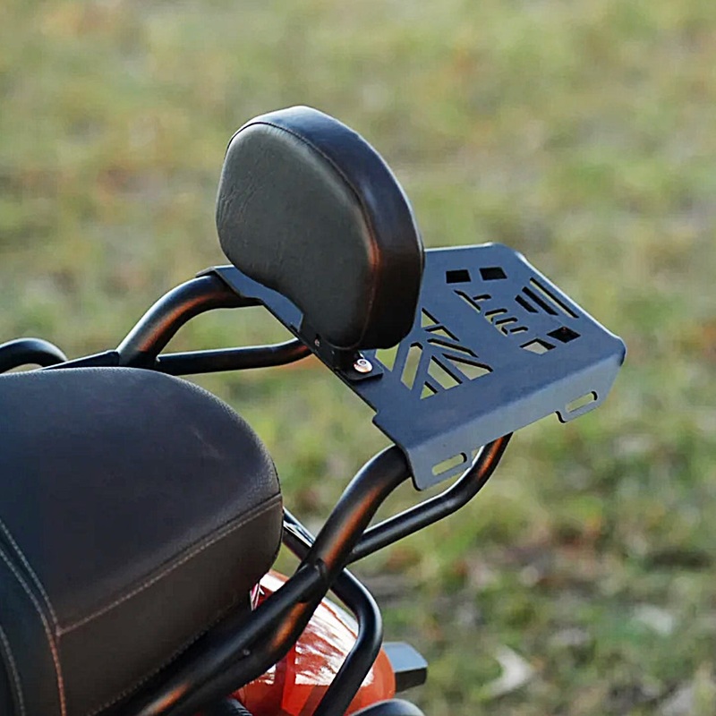 Mototorque TVS Ronin Back Carrier